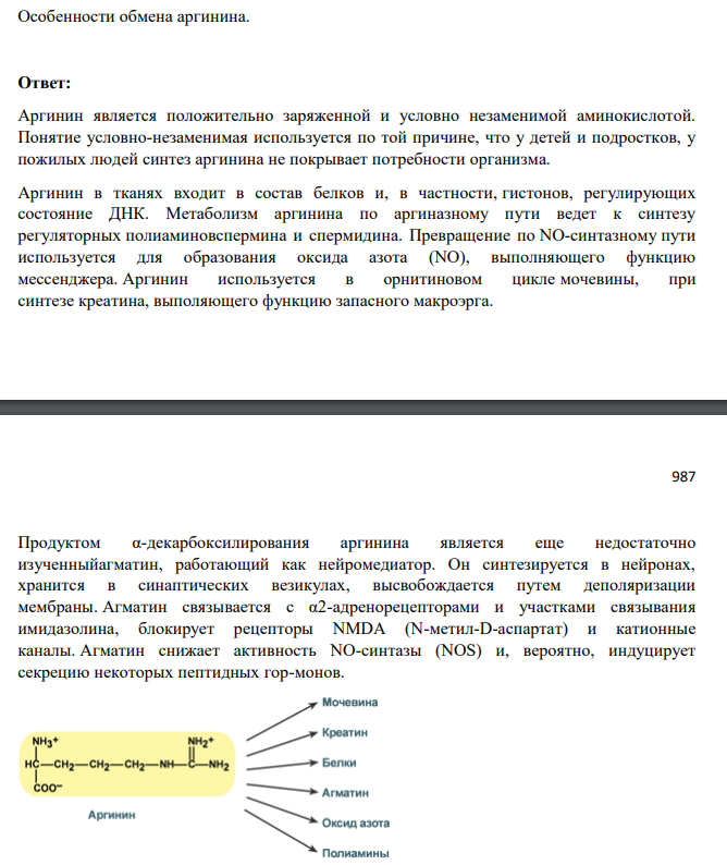 Особенности обмена аргинина.