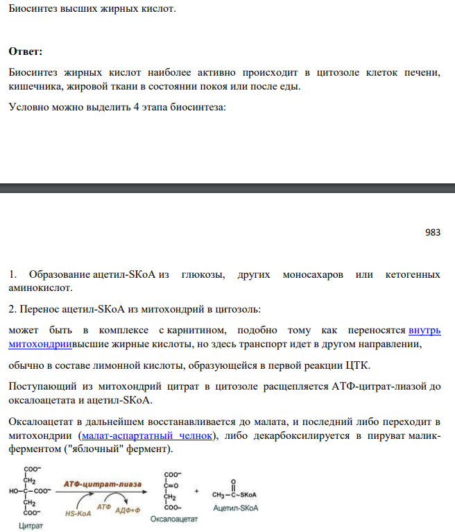 Биосинтез высших жирных кислот.