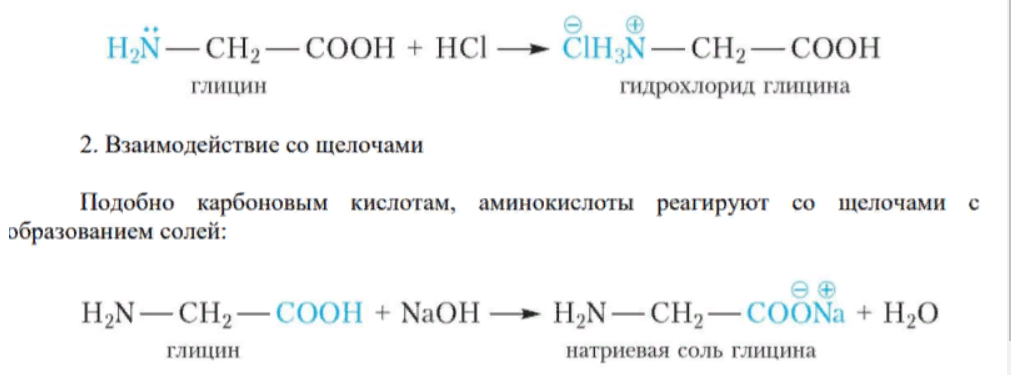 Химические и физические свойства аминокислот.