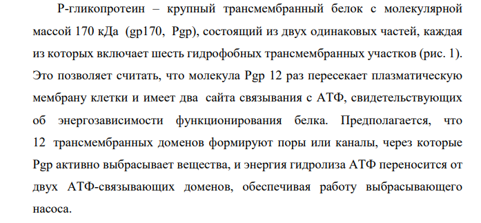 Выполните индивидуальное задание по следующему плану: 1. Строение Р-гликопротеина. 2. Локализация в клетках.