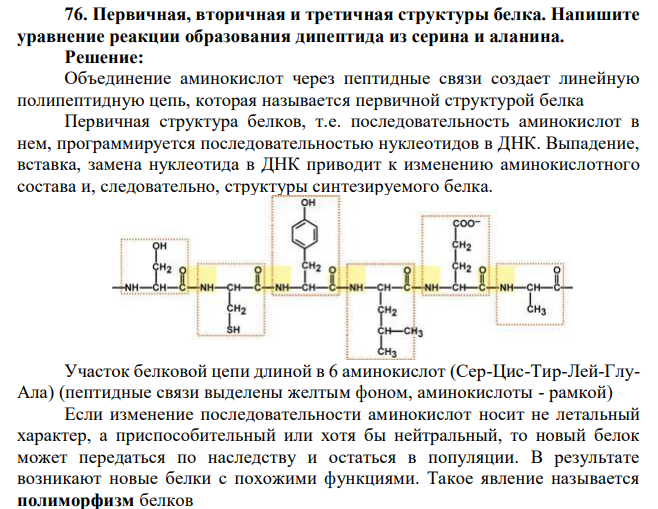 Первичная, вторичная и третичная структуры белка. Напишите уравнение реакции образования дипептида из серина и аланина