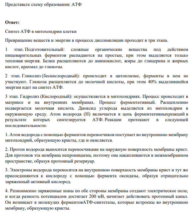 Представьте схему образования: АТФ