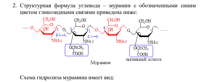 Для природного соединения (вариант 1) нужно написать схему гидролиза и при необходимости указать его условия для следующих веществ: а/. трипептида (необходимо также привести его полное название), б/. углевода (необходимо также обозначить гликозидные связи), в/. нуклеотида (необходимо также привести его полное название), г/. липида.