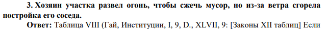 Хозяин участка развел огонь, чтобы сжечь мусор, но из-за ветра сгорела постройка его соседа.