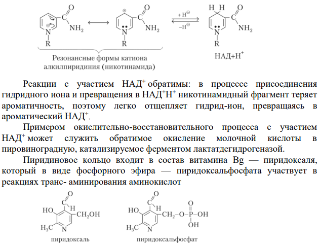 Производные пиридина. Никотиновая кислота.