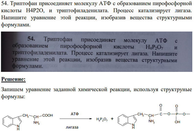 Триптофан присоединяет молекулу АТФ с образованием пирофосфорной кислоты H4P2O, и триптофиладенилата. Процесс катализирует лигаза. Напишите уравнение этой реакции, изобразив вещества структурными формулами.