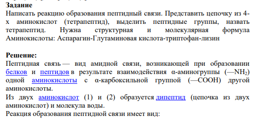 Задание Написать реакцию образования пептидный связи. Представить цепочку из 4- х аминокислот (тетрапептид), выделить пептидные группы, назвать тетрапептид. Нужна структурная и молекулярная формула Аминокислоты: Аспарагин-Глутаминовая кислота-триптофан-лизин
