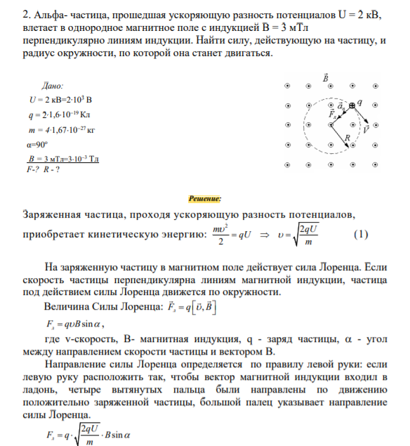 . Альфа- частица, прошедшая ускоряющую разность потенциалов U = 2 кВ, влетает в однородное магнитное поле с индукцией В = 3 мТл перпендикулярно линиям индукции. Найти силу, действующую на частицу, и радиус окружности, по которой она станет двигаться.