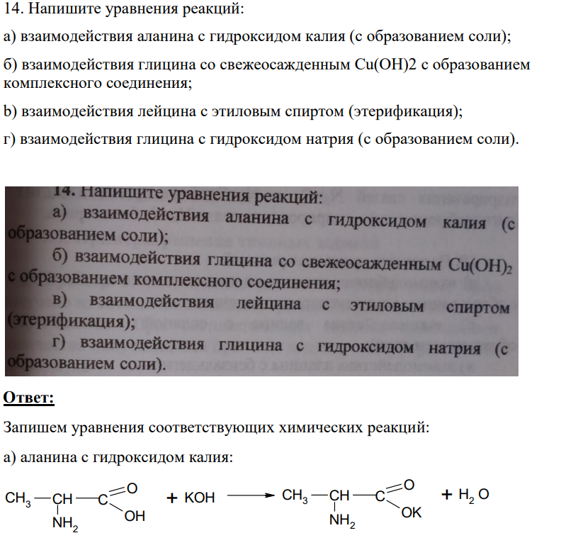 Напишите уравнения реакций: a) взаимодействия аланина с гидроксидом калия (с образованием соли); б) взаимодействия глицина со свежеосажденным Cu(OH)2 с образованием комплексного соединения; b) взаимодействия лейцина c этиловым спиртом (этерификация); г) взаимодействия глицина с гидроксидом натрия (с образованием соли).