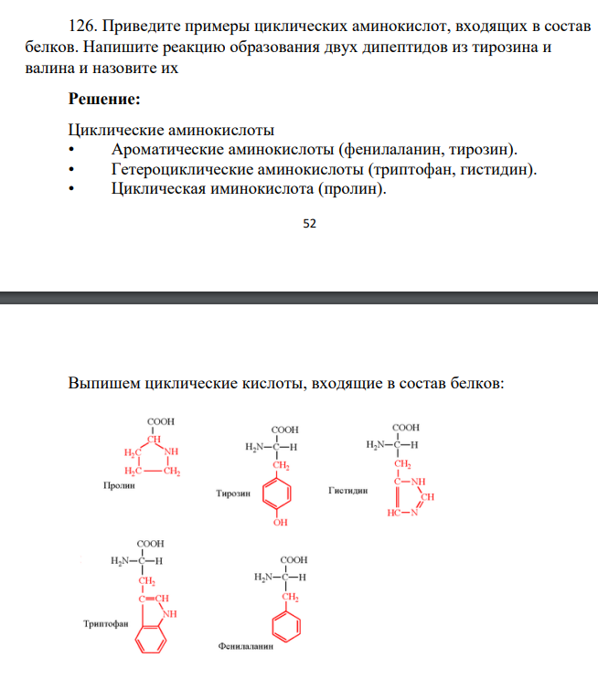 Приведите примеры циклических аминокислот, входящих в состав белков. Напишите реакцию образования двух дипептидов из тирозина и валина и назовите их