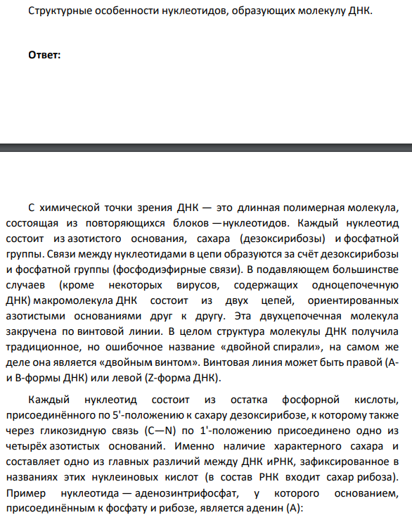 Структурные особенности нуклеотидов, образующих молекулу ДНК.