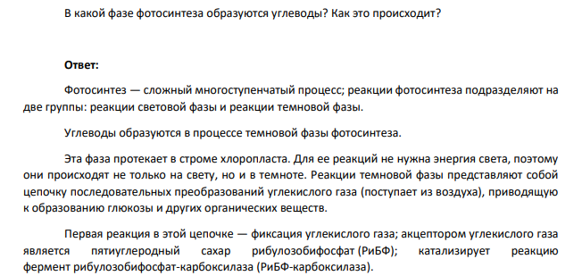 В какой фазе фотосинтеза образуются углеводы? Как это происходит?
