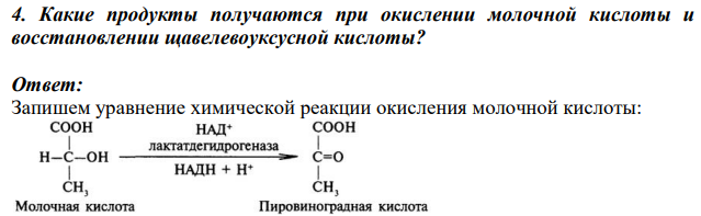 Какие продукты получаются при окислении молочной кислоты и восстановлении щавелевоуксусной кислоты?