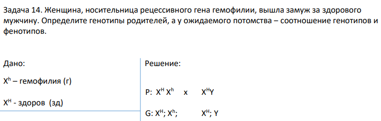 Женщина, носительница рецессивного гена гемофилии, вышла замуж за здорового мужчину. Определите генотипы родителей, а у ожидаемого потомства ‒ соотношение генотипов и фенотипов.
