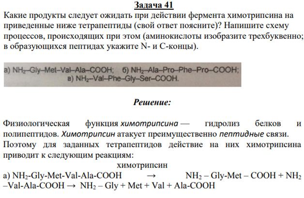Какие продукты следует ожидать при действии фермента химотрипсина на приведенные ниже тетрапептиды (свой ответ поясните)? Напишите схему процессов, происходящих при этом (аминокислоты изобразите трехбуквенно; в образующихся пептидах укажите N- и С-концы).