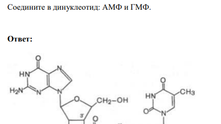 Соедините в динуклеотид: АМФ и ГМФ.