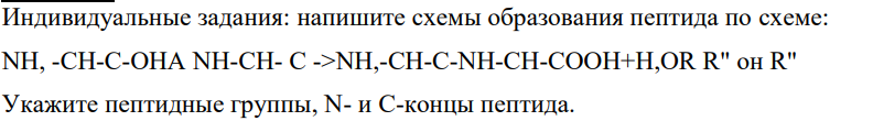 Индивидуальные задания: напишите схемы образования пептида по схеме: NH, -CH-C-OHA NH-CH- C ->NH,-CH-C-NH-CH-COOH+H,OR R" он R" Укажите пептидные группы, N- и С-концы пептида. 277 1)из цистеина и глицина; 2) из аспарагиновой кислоты и лизина; 3) из глицина