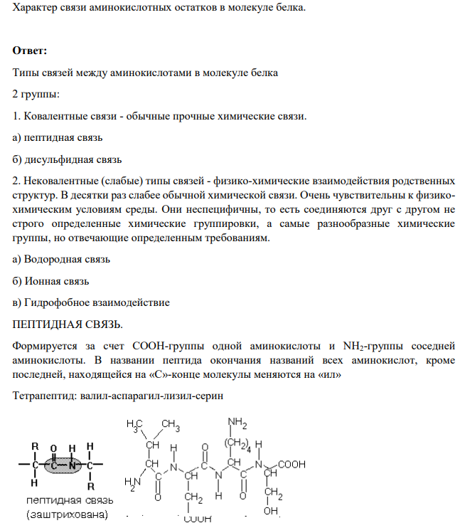 Характер связи аминокислотных остатков в молекуле белка.