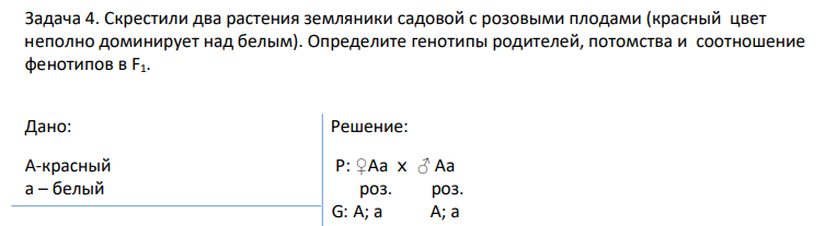 Скрестили два растения земляники садовой с розовыми плодами (красный цвет неполно доминирует над белым). Определите генотипы родителей, потомства и соотношение фенотипов в F1.