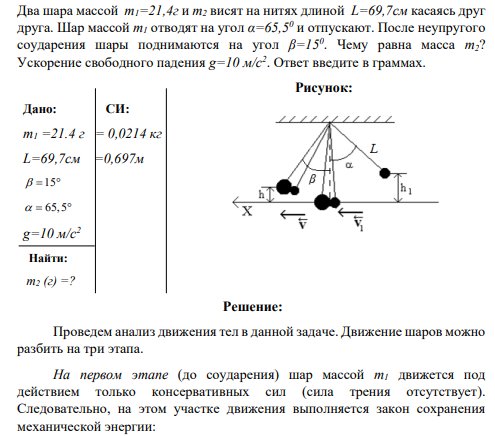 Два шара массой m1=21,4г и m2 висят на нитях длиной L=69,7см касаясь друг друга. Шар массой m1 отводят на угол α=65,50 и отпускают
