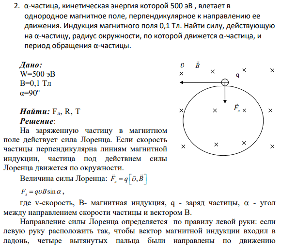 2. α-частица, кинетическая энергия которой 500 эВ , влетает в однородное магнитное поле, перпендикулярное к направлению ее движения. Индукция магнитного поля 0,1 Тл. Найти силу, действующую на α-частицу, радиус окружности, по которой движется α-частица, и период обращения α-частицы.