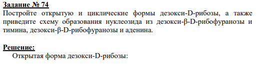Задание № 74 Постройте открытую и циклические формы дезокси-D-рибозы, а также приведите схему образования нуклеозида из дезокcи-β-D-рибофуранозы и тимина, дезокcи-β-D-рибофуранозы и аденина.