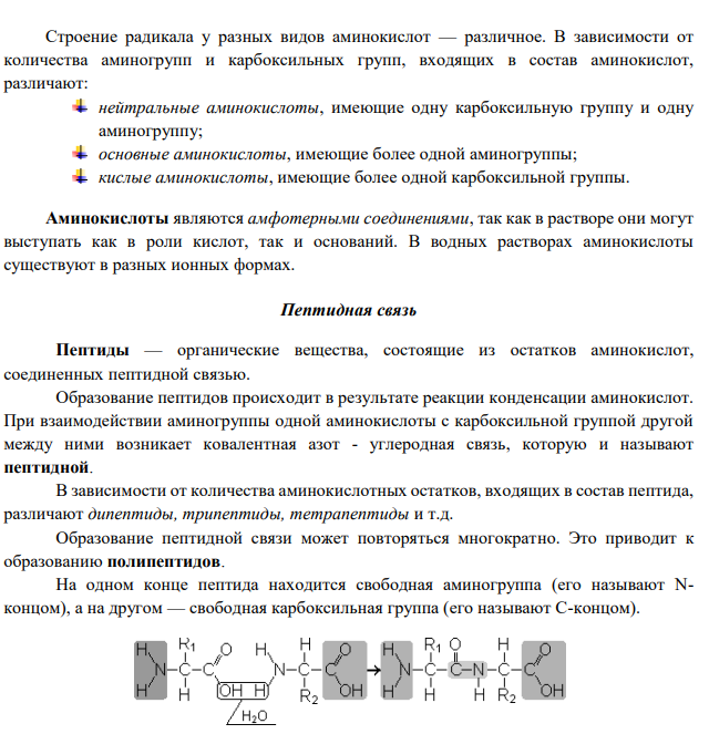 Белки. Строение, свойства. Качественные реакции на белки.