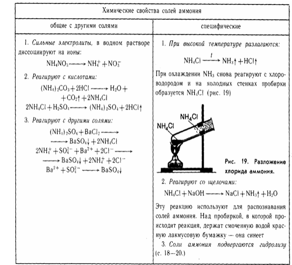 Ион NH4 + и его соли, кислотные свойства и термическое разложение. Гидразин и гидроксиламин.