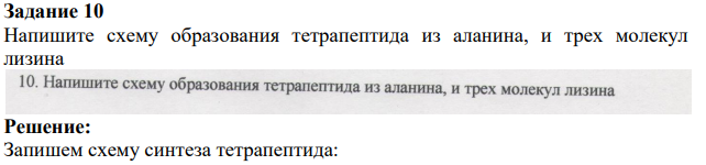 Напишите схему образования тетрапептида из аланина, и трех молекул лизина