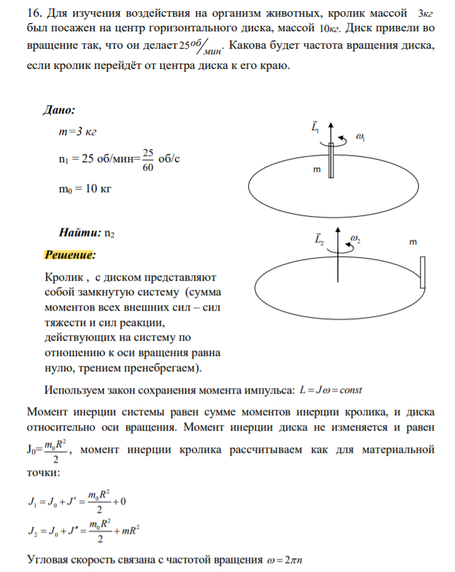 Для изучения воздействия на организм животных, кролик массой 3кг был посажен на центр горизонтального диска, массой 10кг. Диск привели во вращение так, что он делает 25 . мин об Какова будет частота вращения диска, если кролик перейдёт от центра диска к его краю.