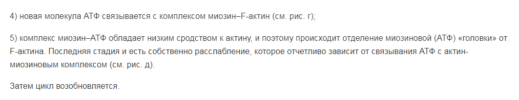 Опишите процесс мышечного сокращения - расслабления, роль белков в этом процессе.