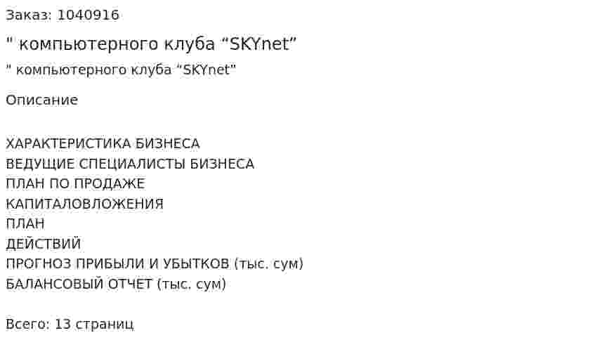 "Бизнес-план компьютерного клуба “SKYnet”  