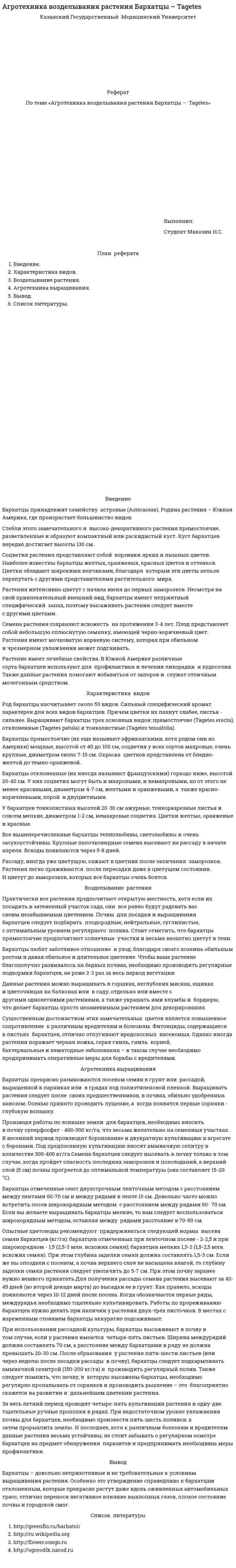 Агротехника возделывания растения Бархатцы – Tagetes
