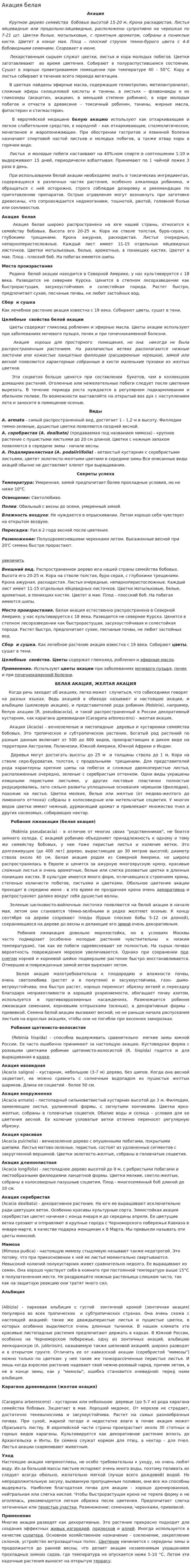 Акация белая