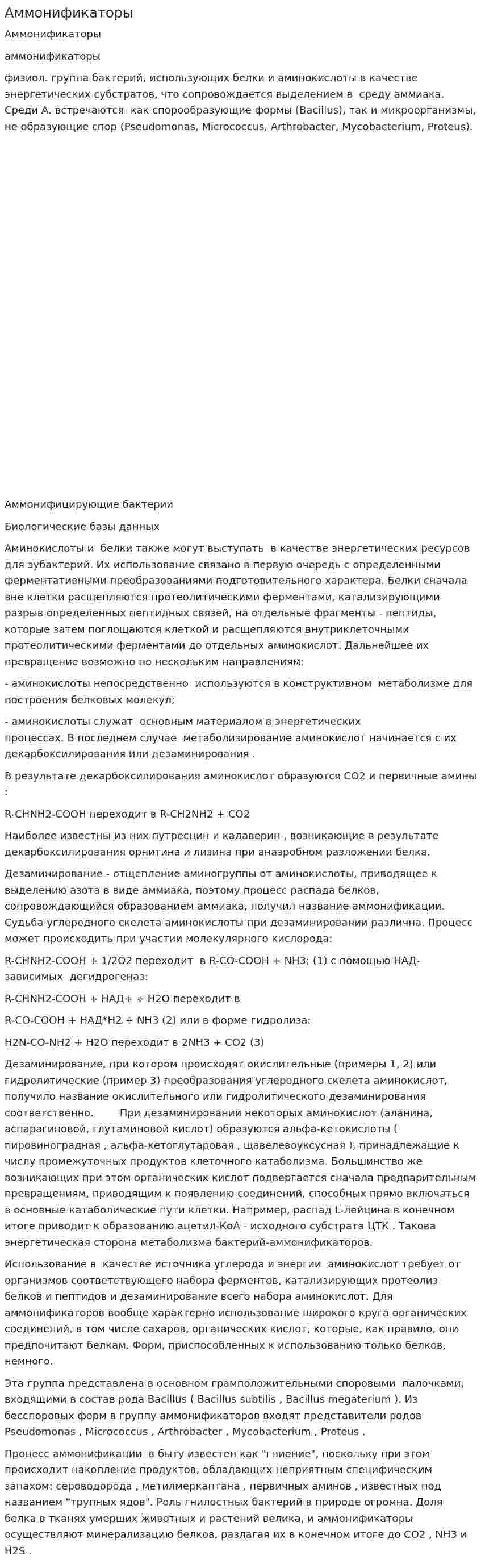 Аммонификаторы