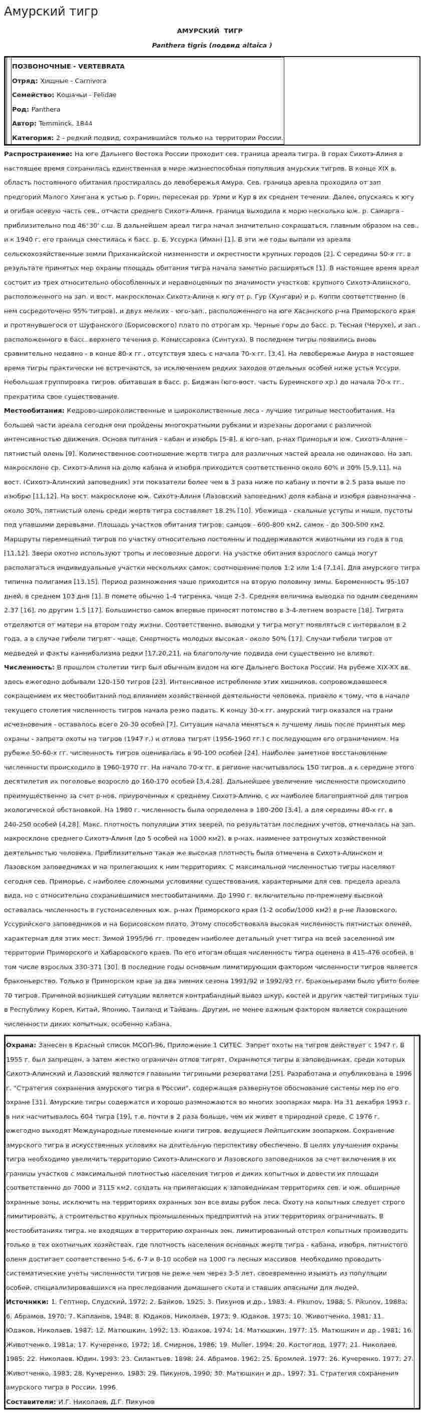 Амурский тигр