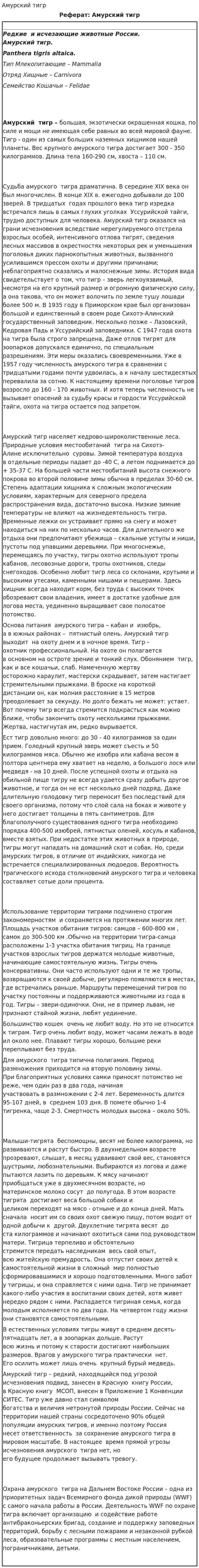 Амурский тигр. 3