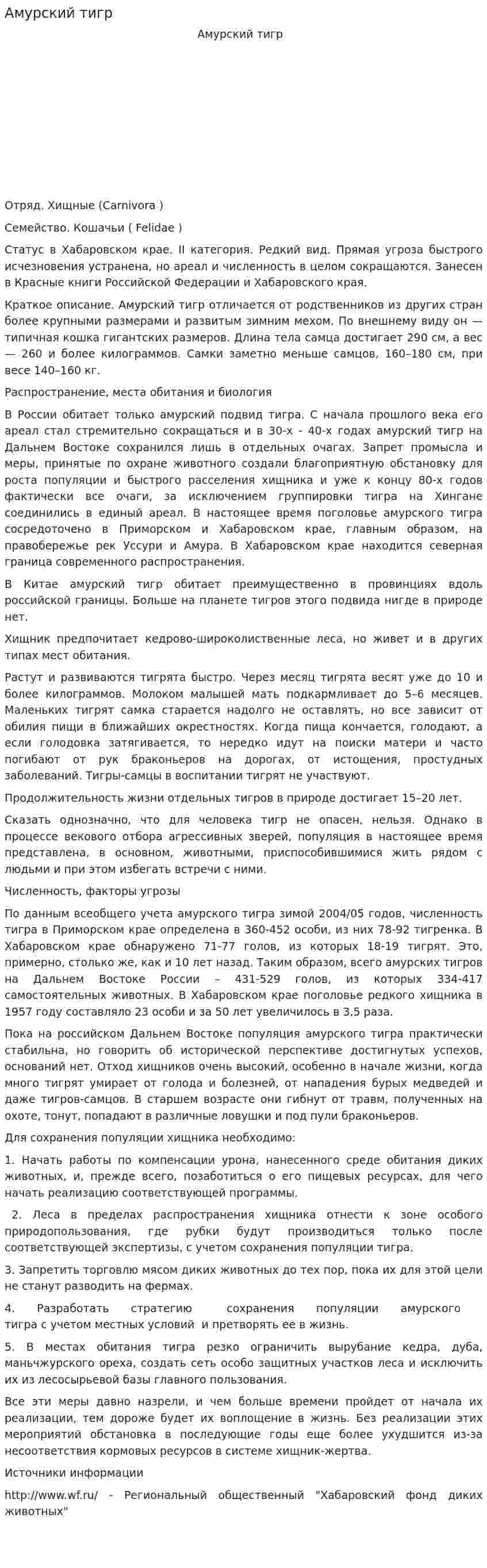 Амурский тигр. 5