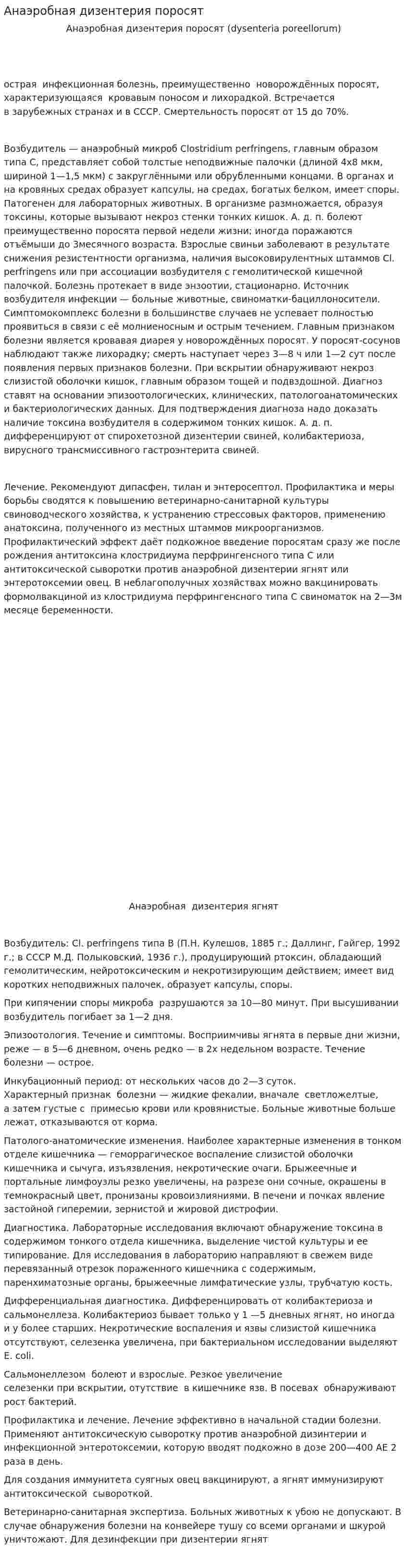 Анаэробная дизентерия поросят