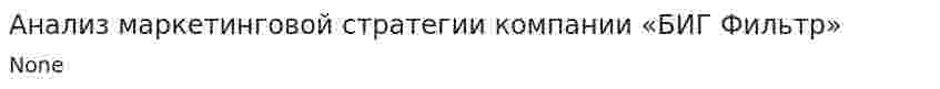 Анализ маркетинговой стратегии компании «БИГ Фильтр»
