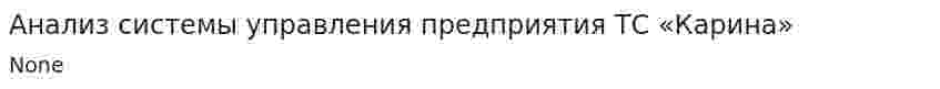 Анализ системы управления предприятия ТС «Карина»