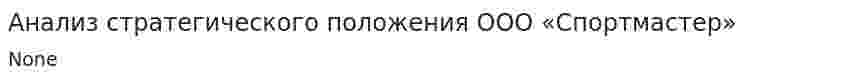 Анализ стратегического положения ООО «Спортмастер»