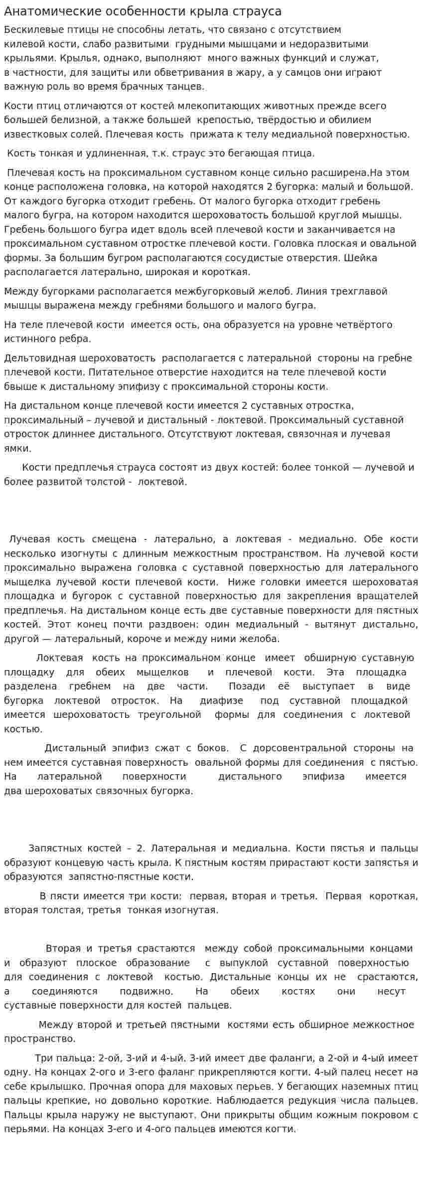 Анатомические особенности крыла страуса