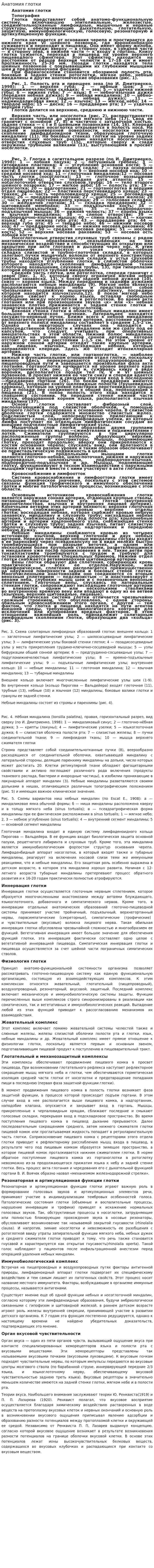 Анатомия глотки