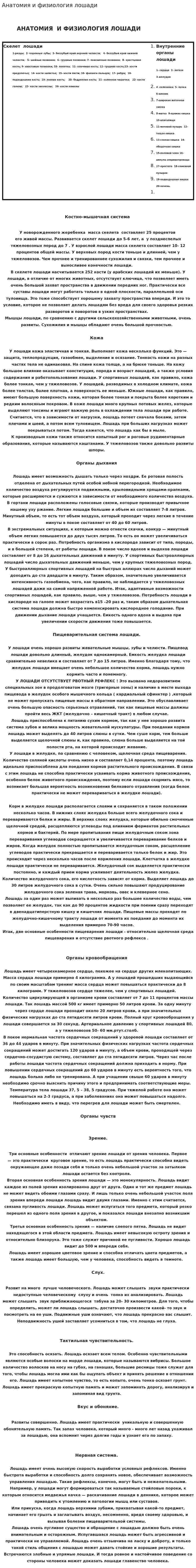 Анатомия и физиология лошади