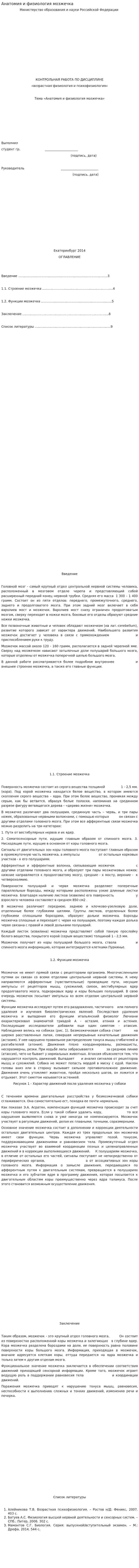Анатомия и физиология мозжечка
