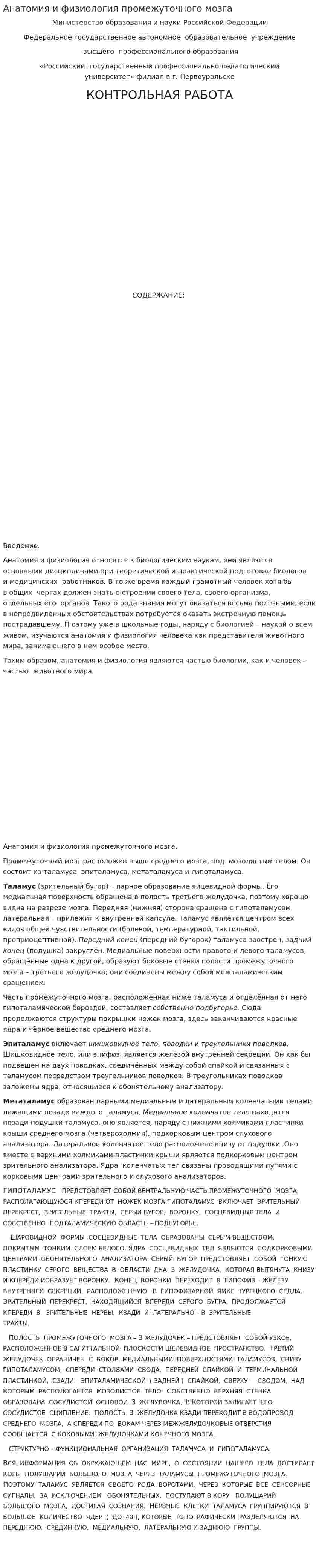 Анатомия и физиология промежуточного мозга