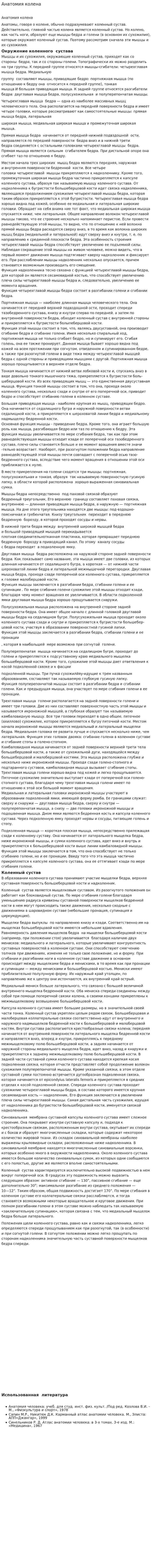 Анатомия колена