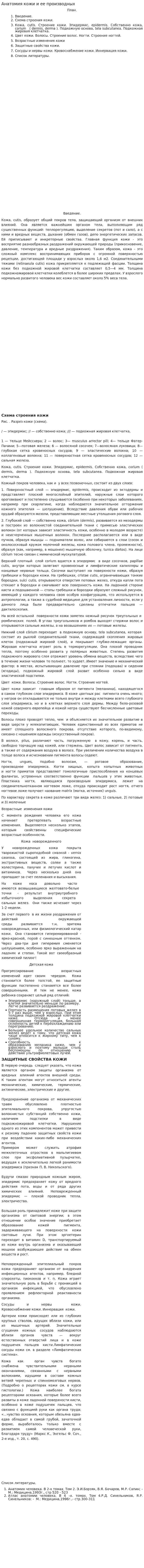 Анатомия кожи и ее производных
