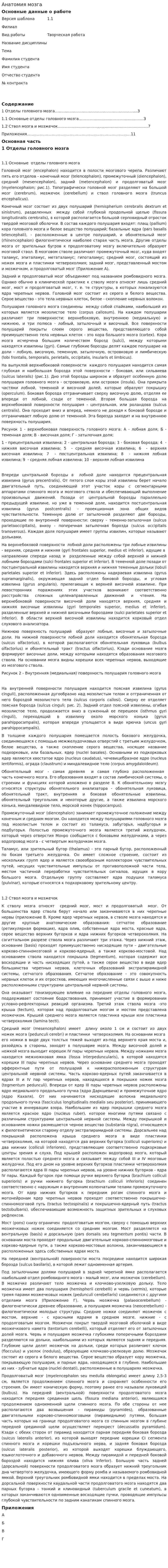 Анатомия мозга